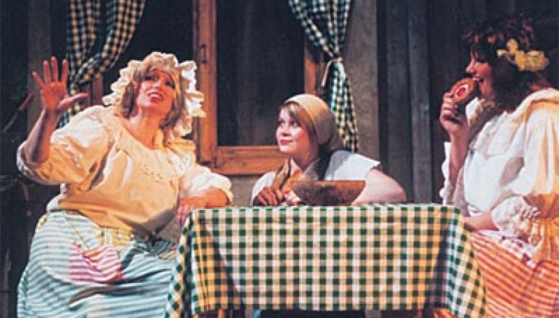 O DVANÁCTI MĚSÍČKÁCH