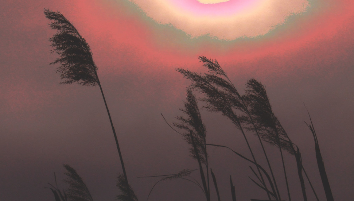 Výstava digitální grafiky a malby  - Siegfried Weiss (vernisáž)